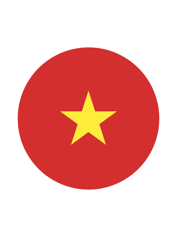 Reliable Vietnamese workforce supplied by ITH Global